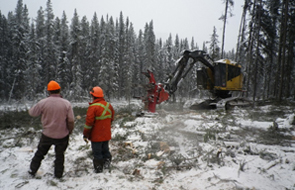 Contract crews working on a fire break © Parks Canada / Percy Woods