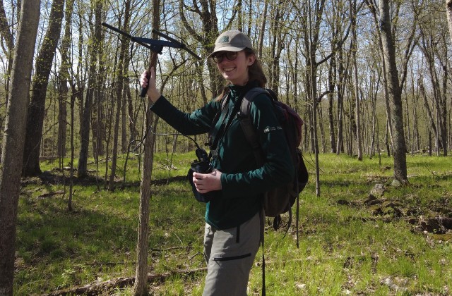 A park staff member with research equipment in a wooded area